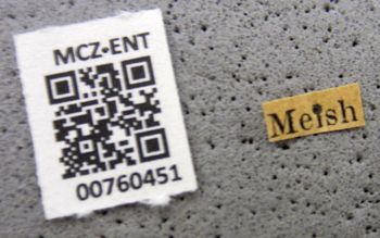 Media type: image;   Entomology 760451 Aspect: labels